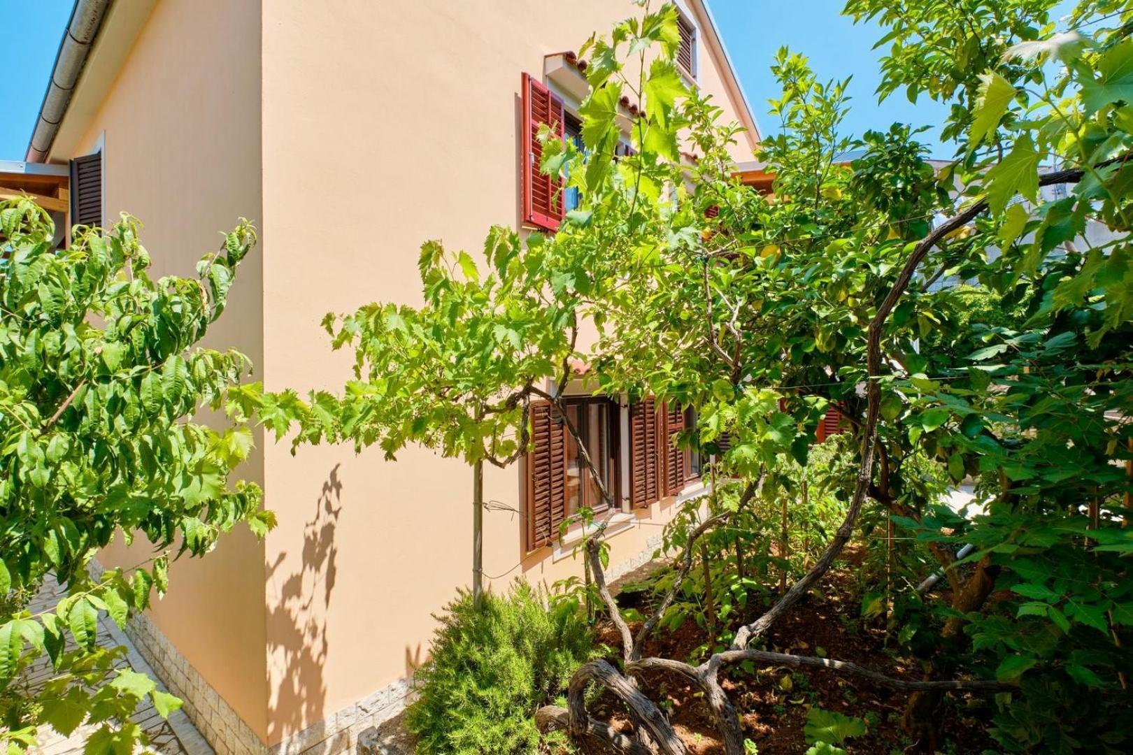 Apartments Ady Mali Lošinj Exteriör bild